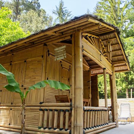 Suite Bambou Bien-Etre A Bali - Le Soleil Des Cevennes Saint-Jean-du-Gard Eksteriør bilde