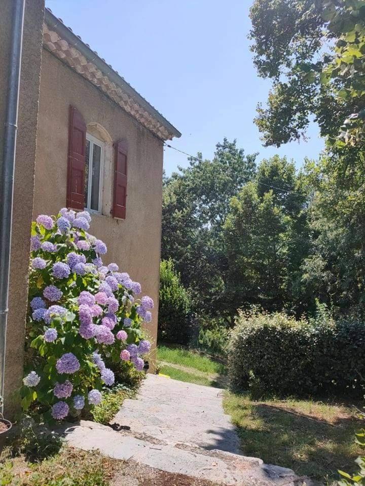 Suite Bambou Bien-Etre A Bali - Le Soleil Des Cevennes Saint-Jean-du-Gard Eksteriør bilde