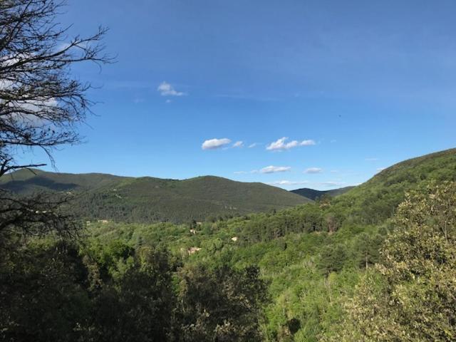 Suite Bambou Bien-Etre A Bali - Le Soleil Des Cevennes Saint-Jean-du-Gard Eksteriør bilde