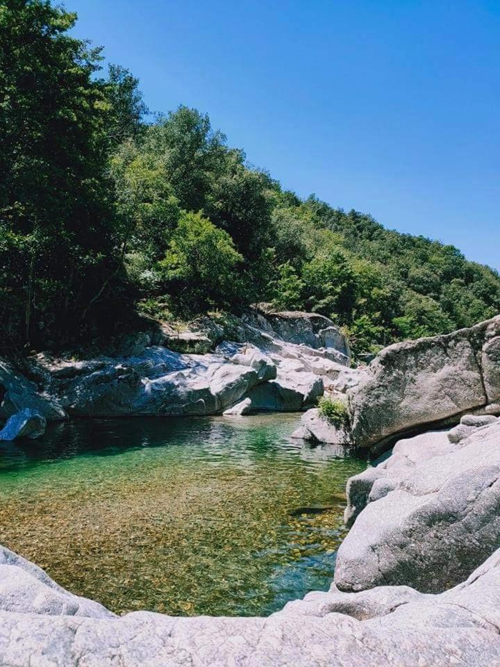 Suite Bambou Bien-Etre A Bali - Le Soleil Des Cevennes Saint-Jean-du-Gard Eksteriør bilde
