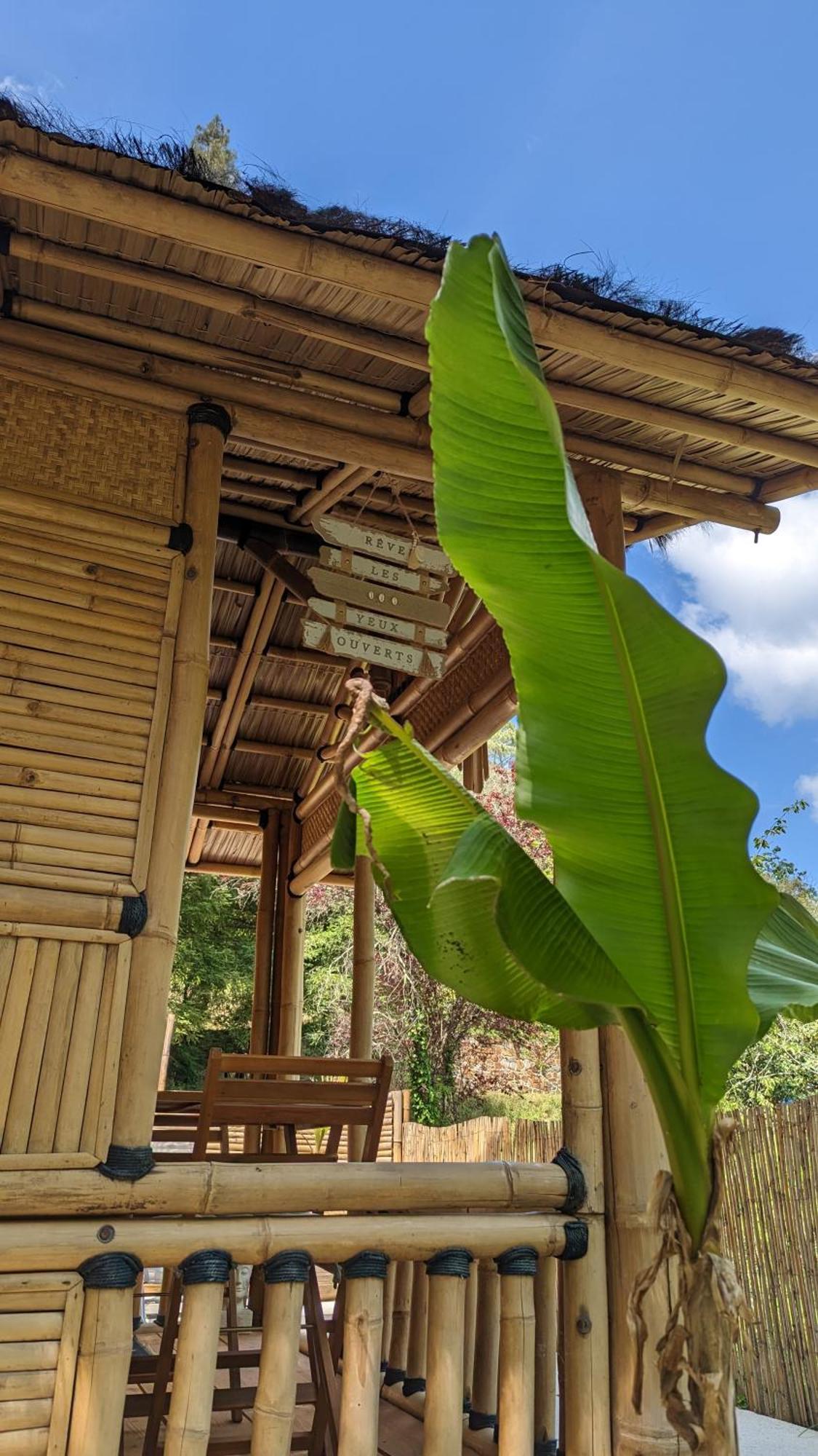 Suite Bambou Bien-Etre A Bali - Le Soleil Des Cevennes Saint-Jean-du-Gard Eksteriør bilde