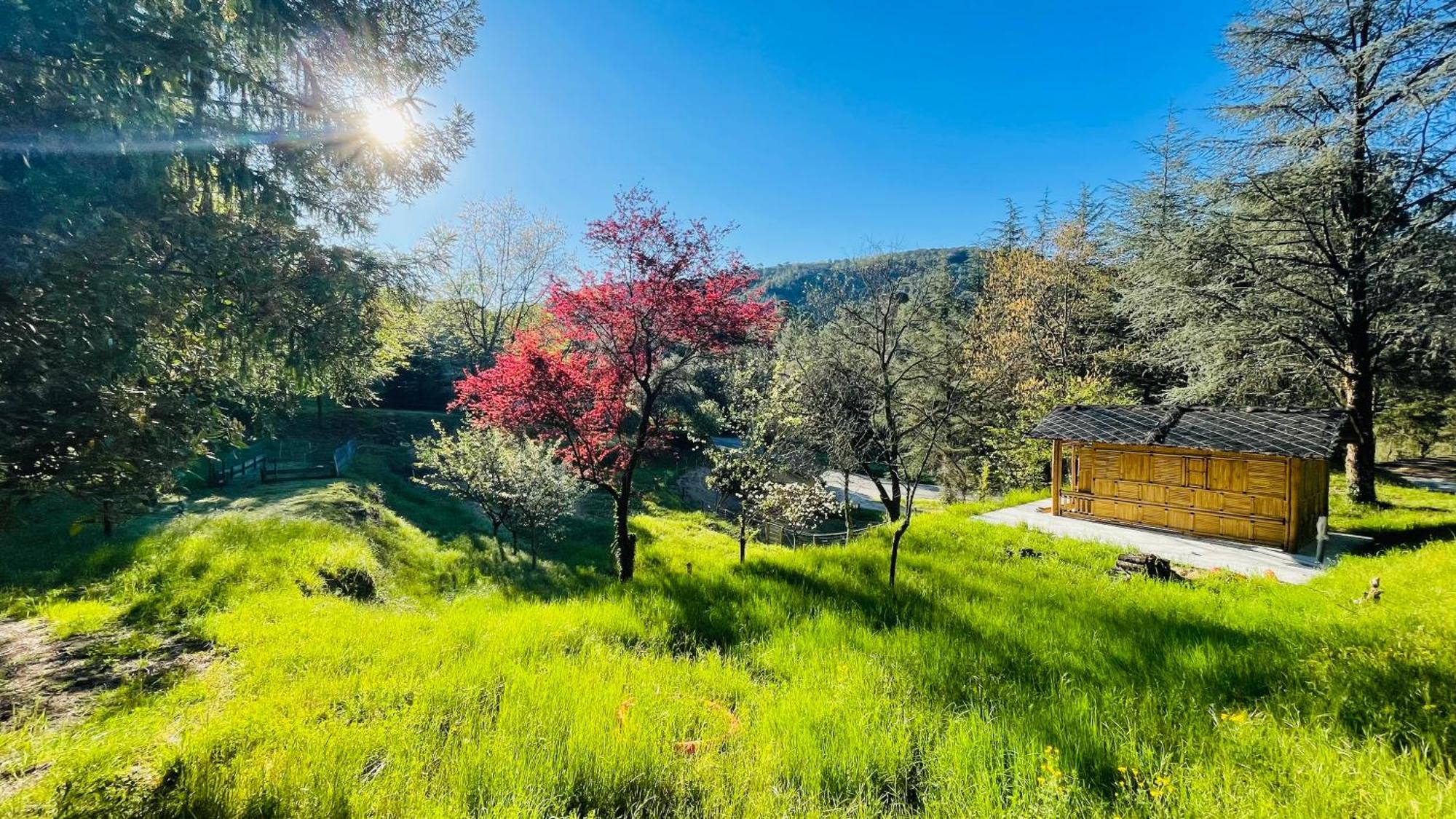Suite Bambou Bien-Etre A Bali - Le Soleil Des Cevennes Saint-Jean-du-Gard Eksteriør bilde
