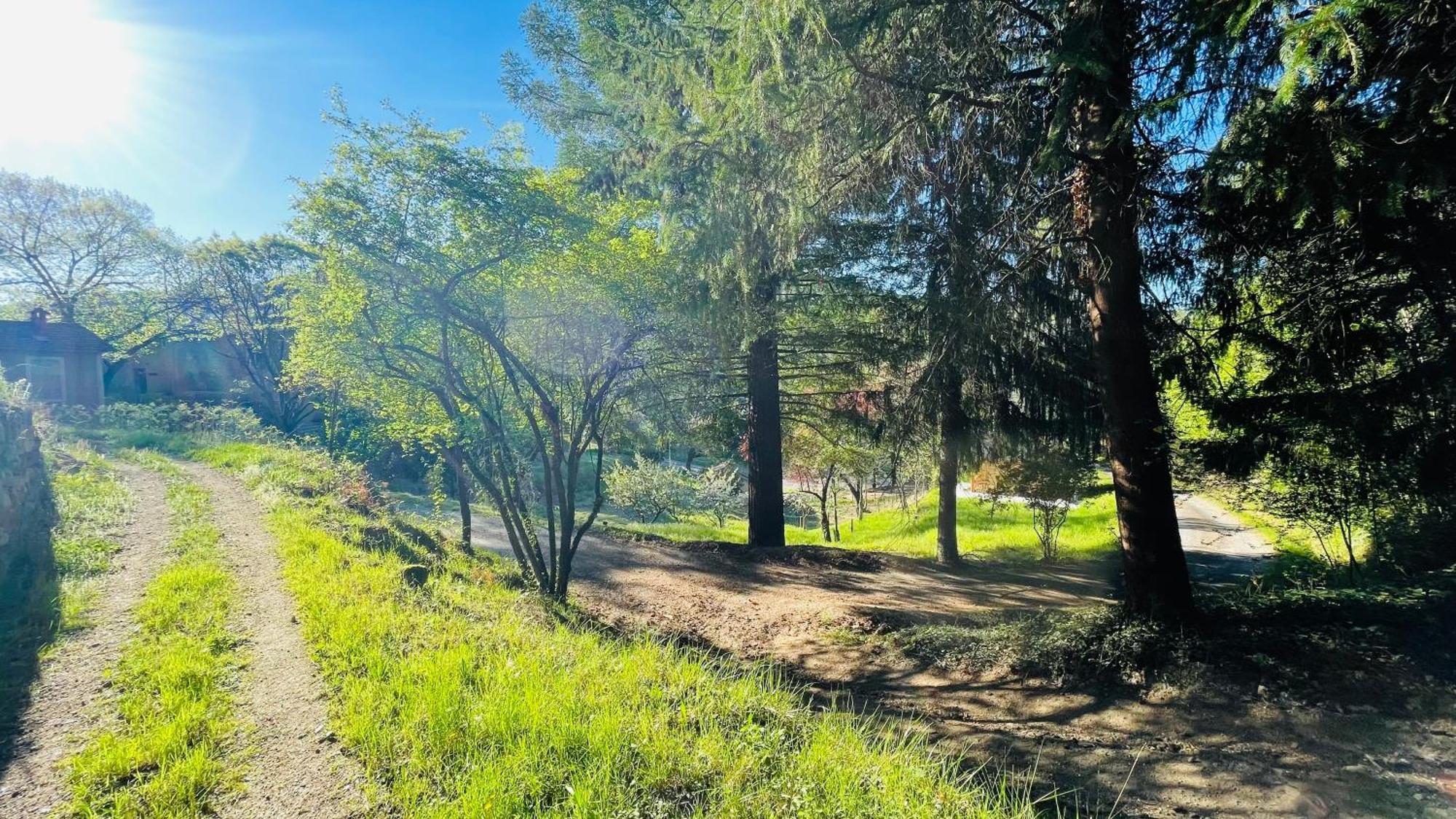 Suite Bambou Bien-Etre A Bali - Le Soleil Des Cevennes Saint-Jean-du-Gard Eksteriør bilde
