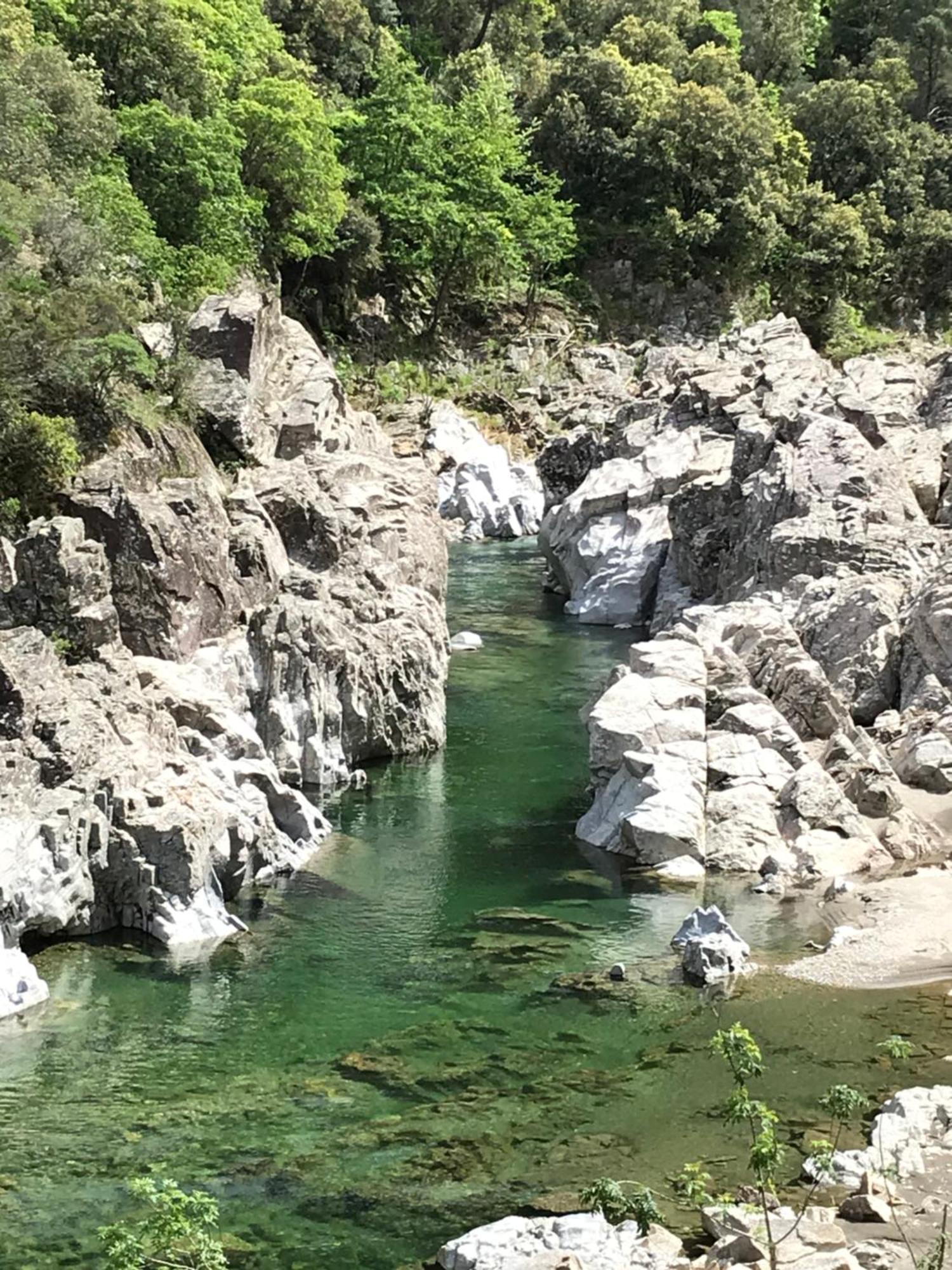 Suite Bambou Bien-Etre A Bali - Le Soleil Des Cevennes Saint-Jean-du-Gard Eksteriør bilde